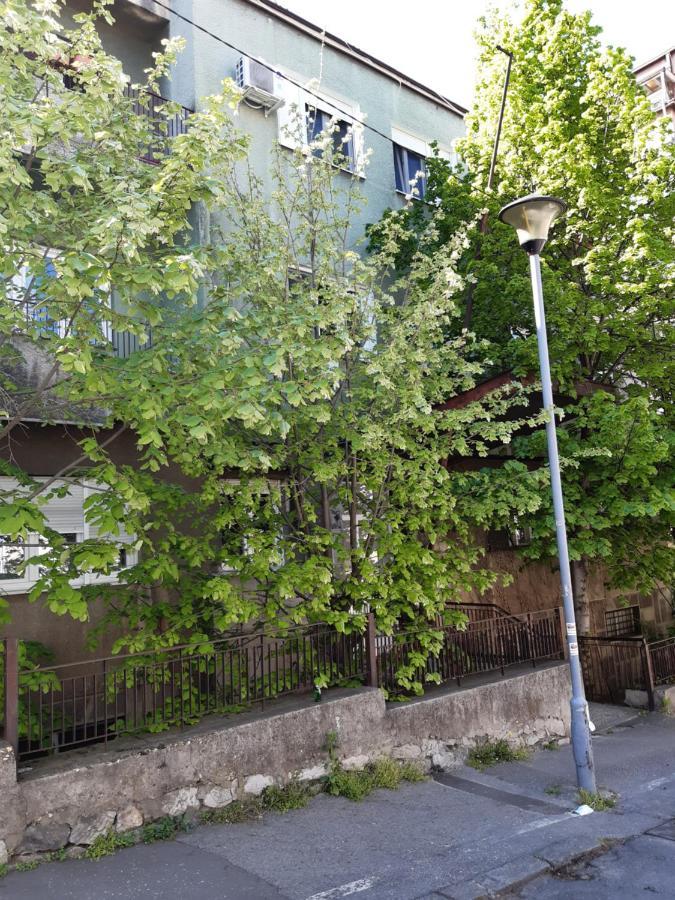 בלגרד Victor Residence מראה חיצוני תמונה